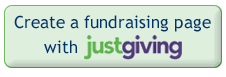 Donation Online button