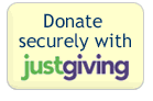 Donation Online button